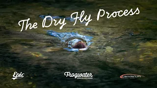 The Dry Fly Process