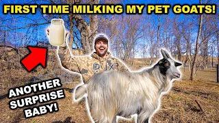 MILKING My Backyard GOATS!!! (Another Baby was Born) - Catch Clean Cook