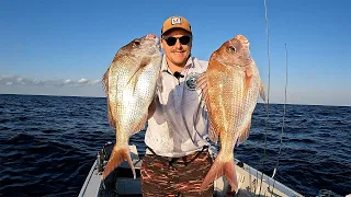 Unbelievable Snapper Catches with Soft Plastics! You Won't Believe What Happens Next - Reel Fishing