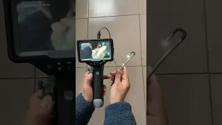 Video endoscope