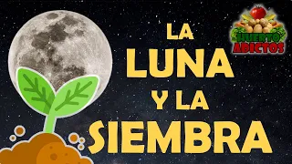 NO SIEMBRES SIN SABER ESTO 🌙 La Luna y la Agricultura: Consejos de Siembra para Huerto y Jardín 🌱