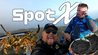 Bluff Dive - Spot X (Episode 5) Crayfish, Blue Moki, Paua and Kina