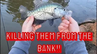 Bank Fishing for Crappie in the Creek! Spawn 2024