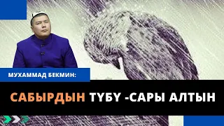 Акча берип турбайсызбы… | Сабырдын түбү -сары алтын | Мухаммад Бекмин