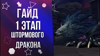 Gust Dragon Nest • 1 этап (гайд на русском!) [New Dragon Nest]