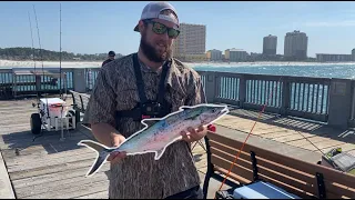 I Fished On A Florida Pier For A WEEK!