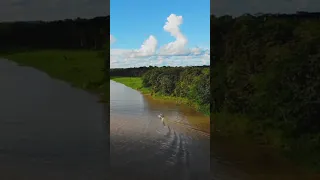 Drönare - Båt på Amazonfloden i Colombia (#Shorts)