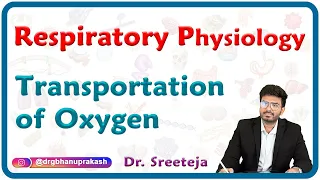 Transportation of Oxygen : Respiratory physiology USMLE Step 1