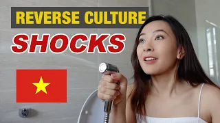 How I See Vietnam After 7 Years of Living in America [REVERSE CULTURE SHOCK] | Sốc Văn Hoá Ngược