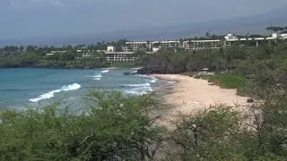 Shark attacks snorkeler in Hawaii