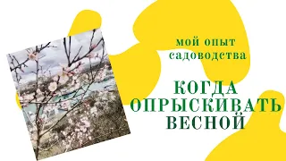 КОГДА ОПРЫСКИВАТЬ САД ВЕСНОЙ / ЧЕМ ОПРЫСКИВАТЬ САД ВЕСНОЙ / МОЙ ОПЫТ САДОВОДСТВА /САДОВОДСТВО НА ЮГЕ