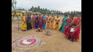 pongalo pongal in school