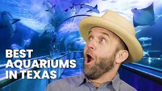 Best Texas Aquarium [COUNTDOWN]