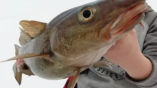 Extrait: S2E4 Pêche blanche sur le Fjord du Saguenay