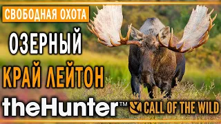 theHunter Call of the Wild #2 🐰 - Озерный Край Лейтон (часть 1) + 2 БРИЛЛИАНТА - Свободная Охота