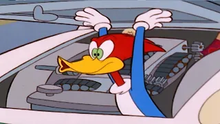 Woody is the fastest bird ever | Woody Woodpecker