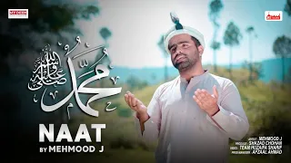 Jalwe Muhammad ﷺ  Ke | Mehmood J | Full Naat | Humne Aankhon Se Dekha Nahin Hai 2.0 | New Kalam 2023