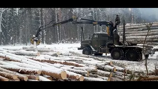 В глубоком снегу!Как мы зарабатывали крупную сумму за рабочий день!...Трелёвка мтз-82!