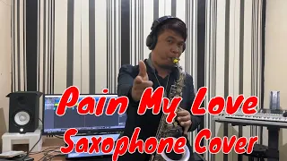 Paint My Love - Michael Learn To Rock ( Saxophone Cover by Erwin Sirait)