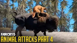 All Animal Attacks on Cougar (Animal Attacks Part 4) Animals VS Cougars - FAR CRY 5