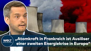 „Die Atomenergie ist eine große Ursache der Energiekrisen in Europa“ | WELT INTERVIEW zu GAS-MANGEL