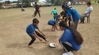 Potato Race ( Sub Junior  / Boys)