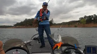 Chasing Stripers at New Hogan Lake