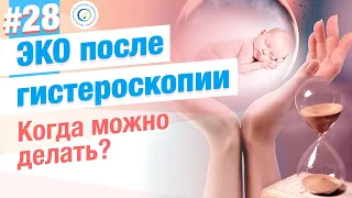 ЭКО после гистероскопии. Когда?