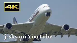 [4K] Plane Spotting 2019 at Narita Airport / 成田空港 JAL 787 SIA A380