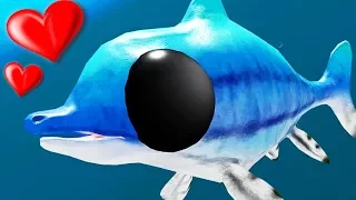 NEW BABY ICHTHY vs CUDDLE FISH & SEA TURTLE - Feed and Grow Fish