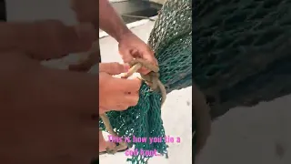 Tying Trawl Knot or Cod Knot