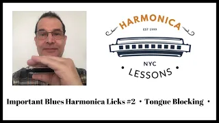 Important Blues Harmonica Techniques #2 - Tongue Blocking - Key of Bb Blues Harp