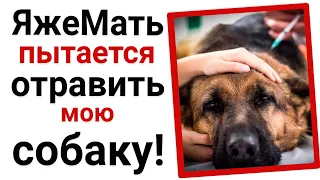 Яжемать требует мою маму стать няней ее ребенку