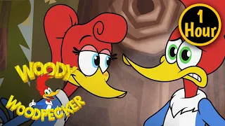 1 Hour of Woody Woodpecker Full Episodes | Winnie's Wish