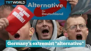 What is the Alternative for Germany Party?