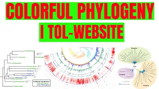 How to construct colorful Phylogenetic trees for research article | Lecture-3