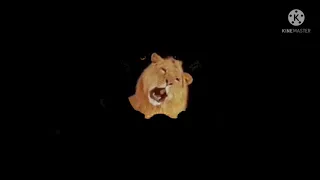 Leo the lion video footage
