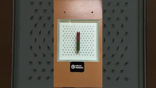 Magnetic fields demonstration 🧲