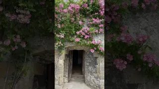 Rose Season At Haddon Hall