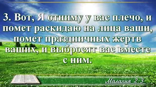 ВидеоБиблия Книга пророка Малахии глава 2 читает Бондаренко