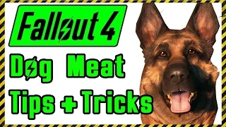 Fallout 4: Dog Meat Tips & Tricks