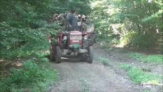 Zetor 4712, Zetor 3511S, Rapid Alltrac 1350, Schilter LW2, Kawasaki Mule 2510 4x4, MF 35X, Rlica