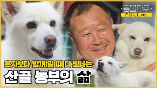 [풀버전] 농사 일하랴~ 동물들 돌보랴~ 24시간이 모자라! 사랑으로 더불어 사는 아저씨와 강아지들❤️ | 동물극장 단짝 EP26 | KBS 220730 방송