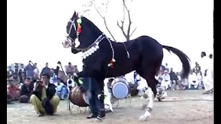 Harchahal Horse dancing maila sakrila Sharif sarai alamgir March 2012.part 2/3