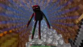 wtf was that damage my guy (version with enderman)