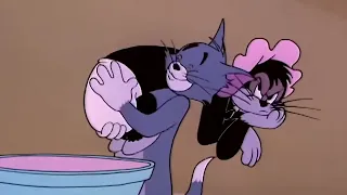 Tom and Jerry   Baby Butch