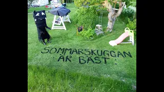 Sommarskuggan busar i trädgården