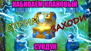 Покупаю ночную ведьму!  Ночной Стрим Clash Royale, Набиваем Клановый Сундук!