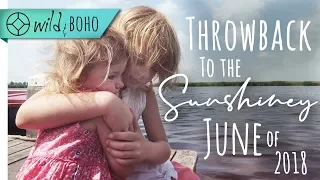 Summer life VLOG: June 2018 – sunshine and blackberries - throwback