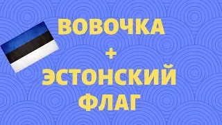 Анекдот дня. Про Вовочку и эстонский флаг. Смешно до злёз.